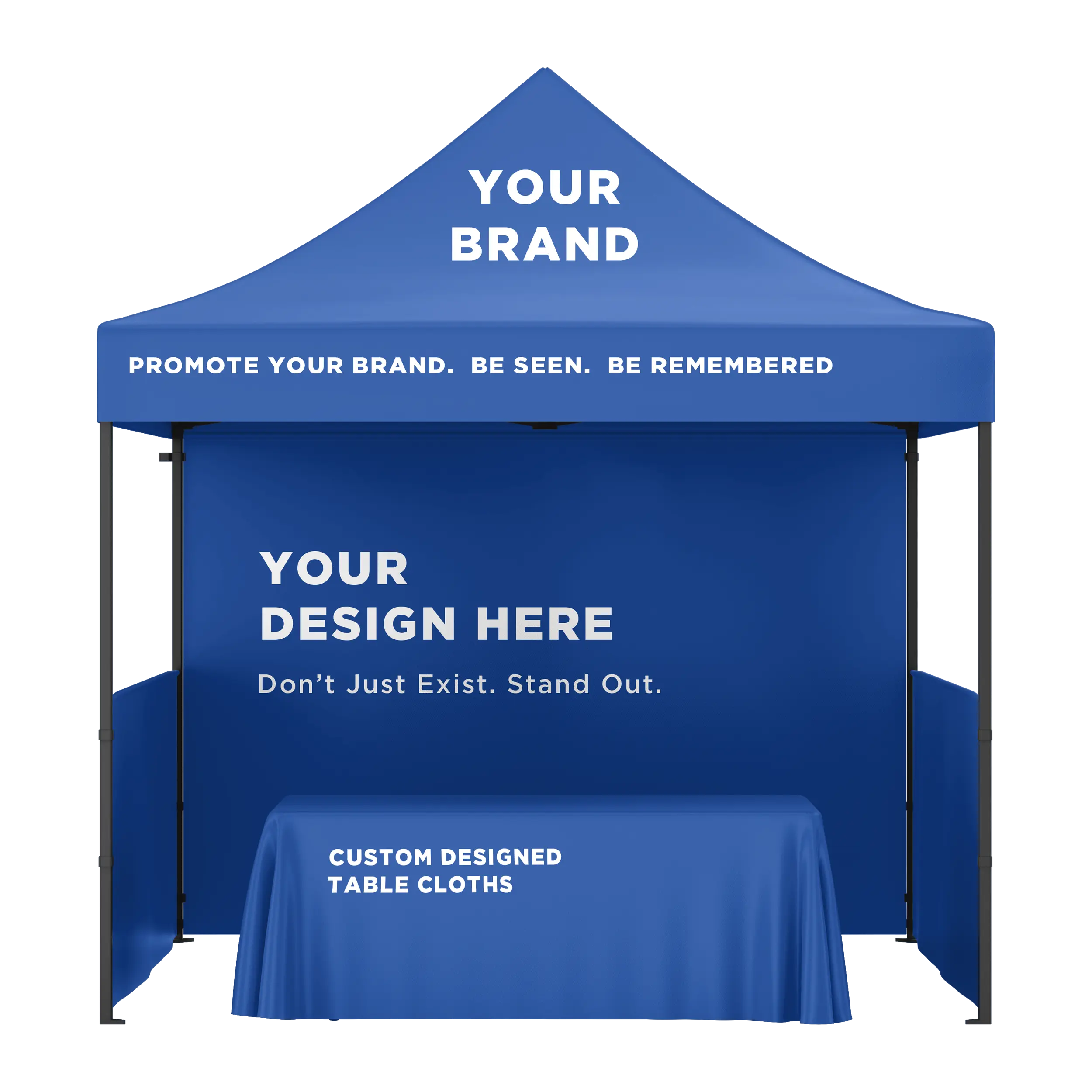 display systems 1